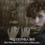 雀斑小姐姐桌面图,雀斑小姐姐的个性桌面美学