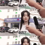 小姐姐的视频短片动画版,短视频中的魅力瞬间